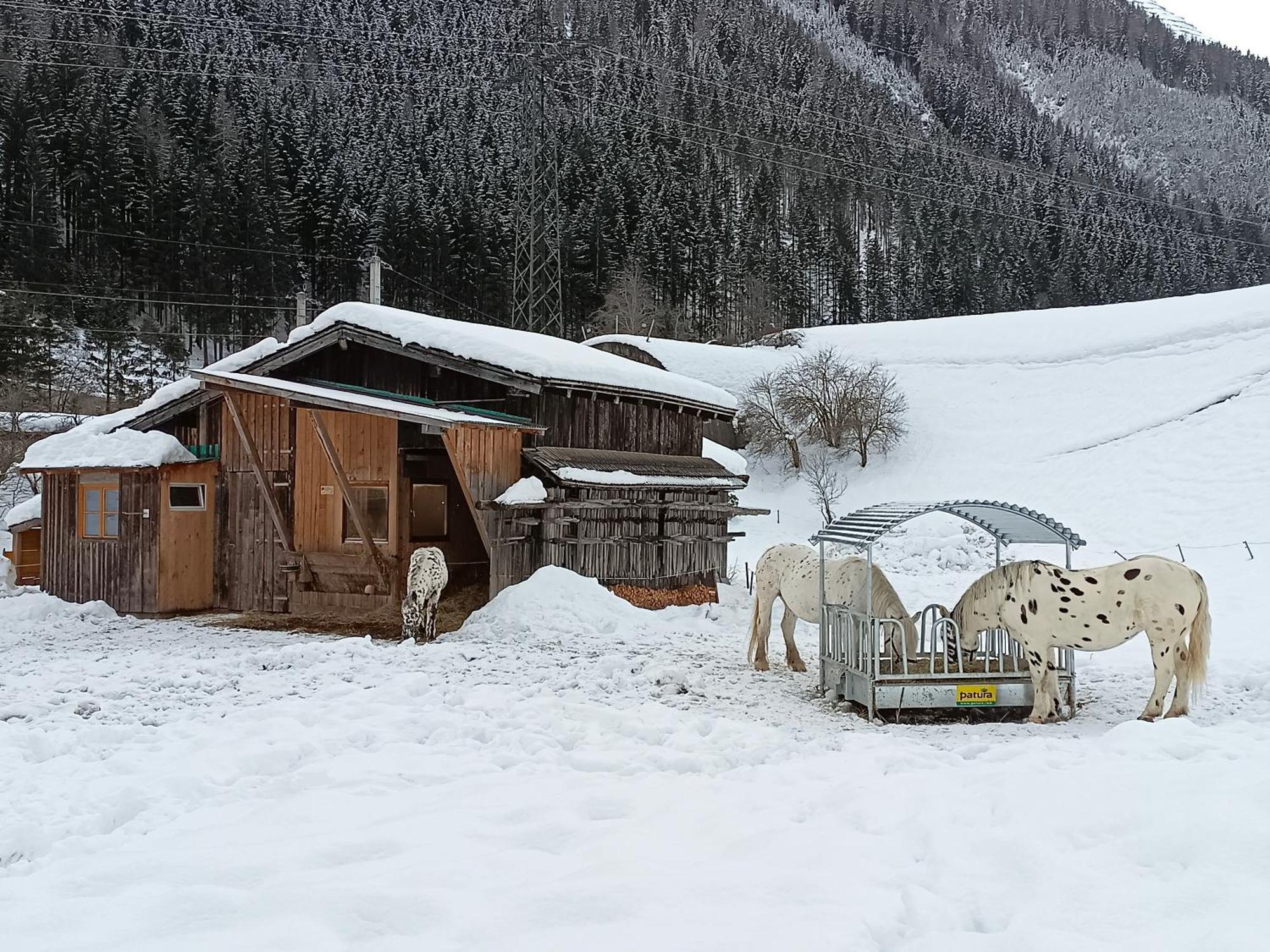 Burgerhof Villa Pettneu am Arlberg Exterior photo